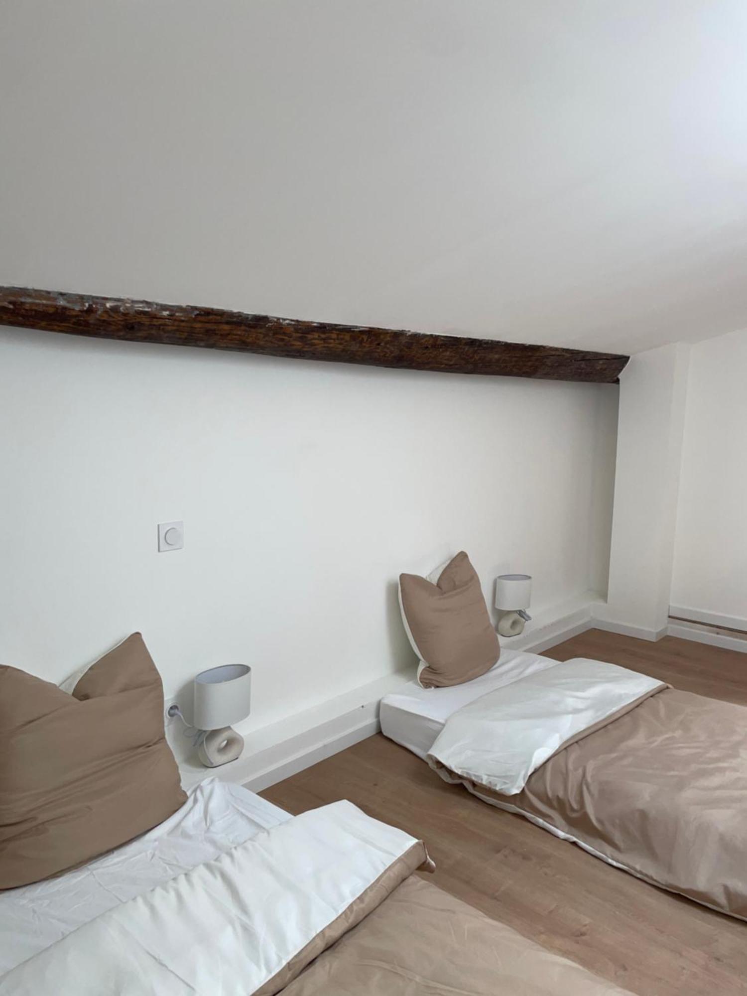 Duplex Raffine, Elegant & Climatise - La Mezz Apartment Nimes Bagian luar foto